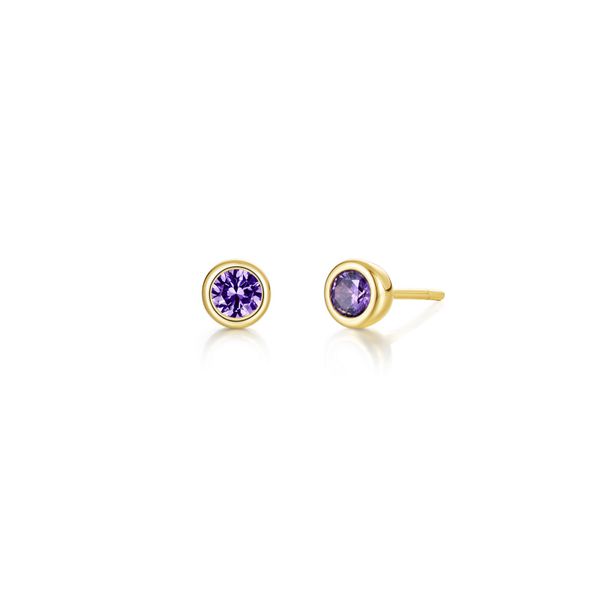 Simulated February Birthstone Earrings