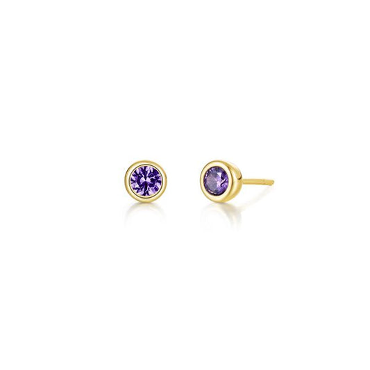 Simulated February Birthstone Earrings